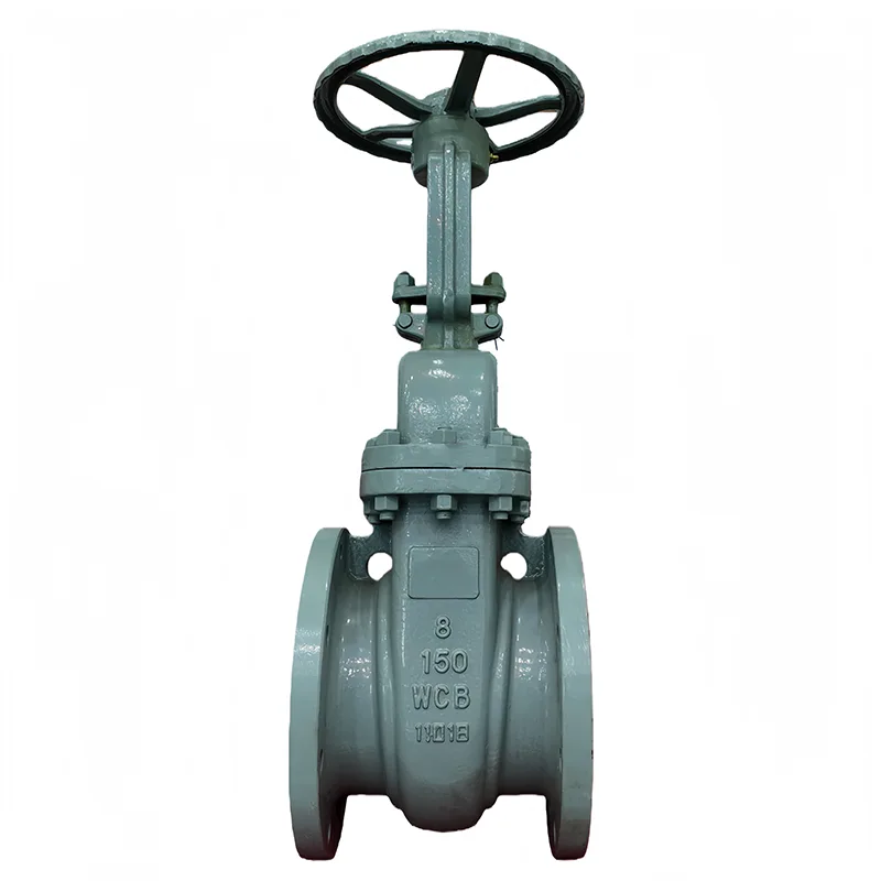 Valve geata flange ANSI Steel gualain